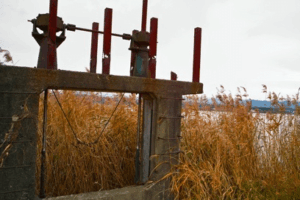 DP1ファームウエアのバージョンアップ