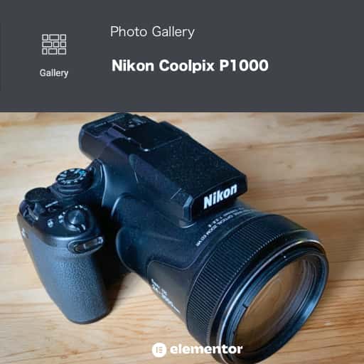 Nikon Coolpix P1000