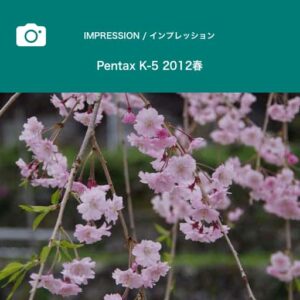 imp_pentax_k5_haru