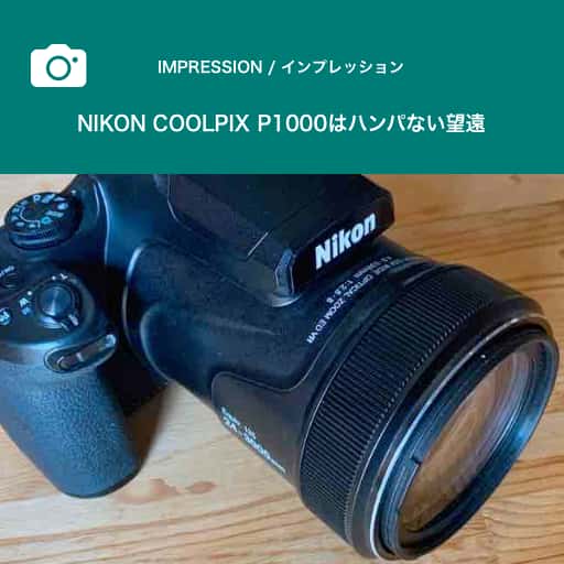 imp_nikon_p1000_bouen