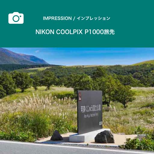 imp_nikon_p1000_tabi
