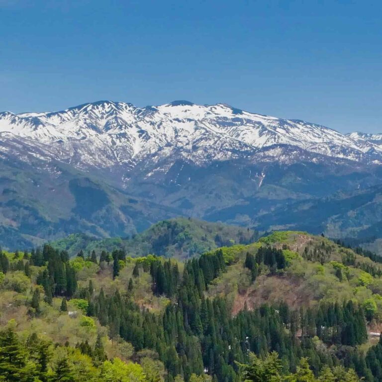 Panasonic Lumix TZ95