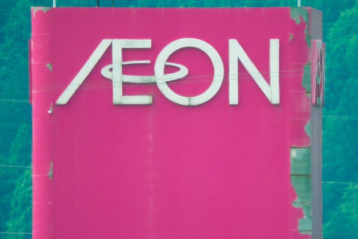 Nikon coolpix P1000 3000mm