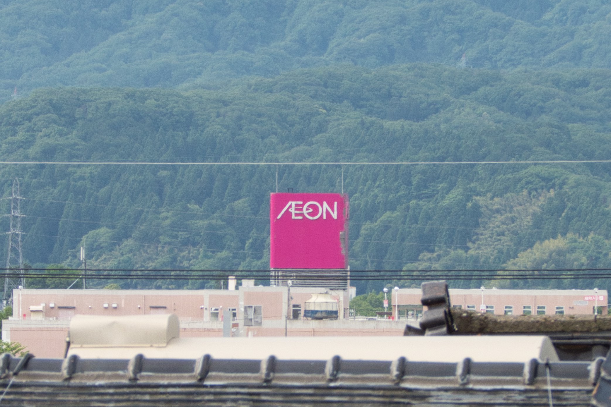 nikon_p1000_250mm_crop