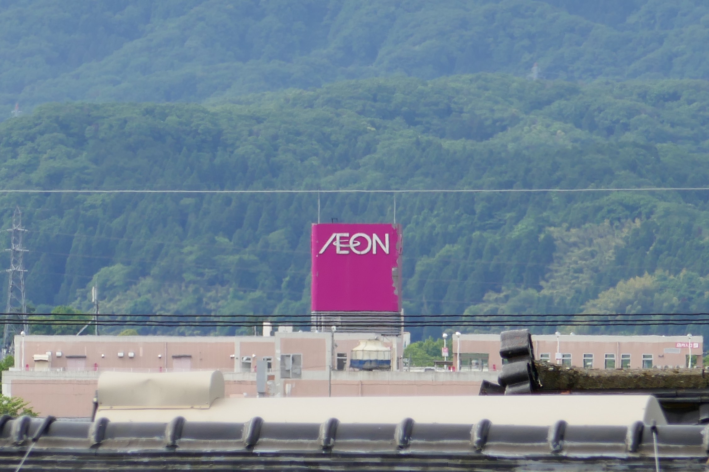 lumix_tx1_250mm_crop