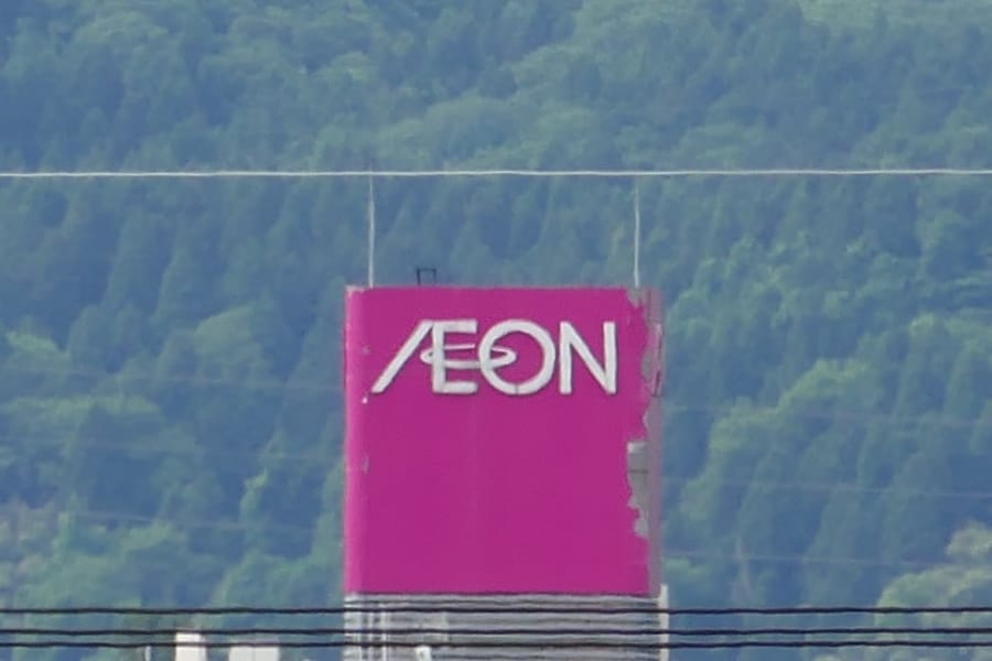 lumix_tx1_250mm_crop2