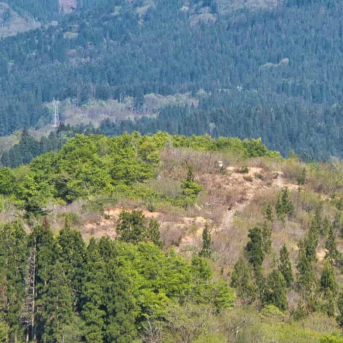 西山 Panasonic Lumix TZ95