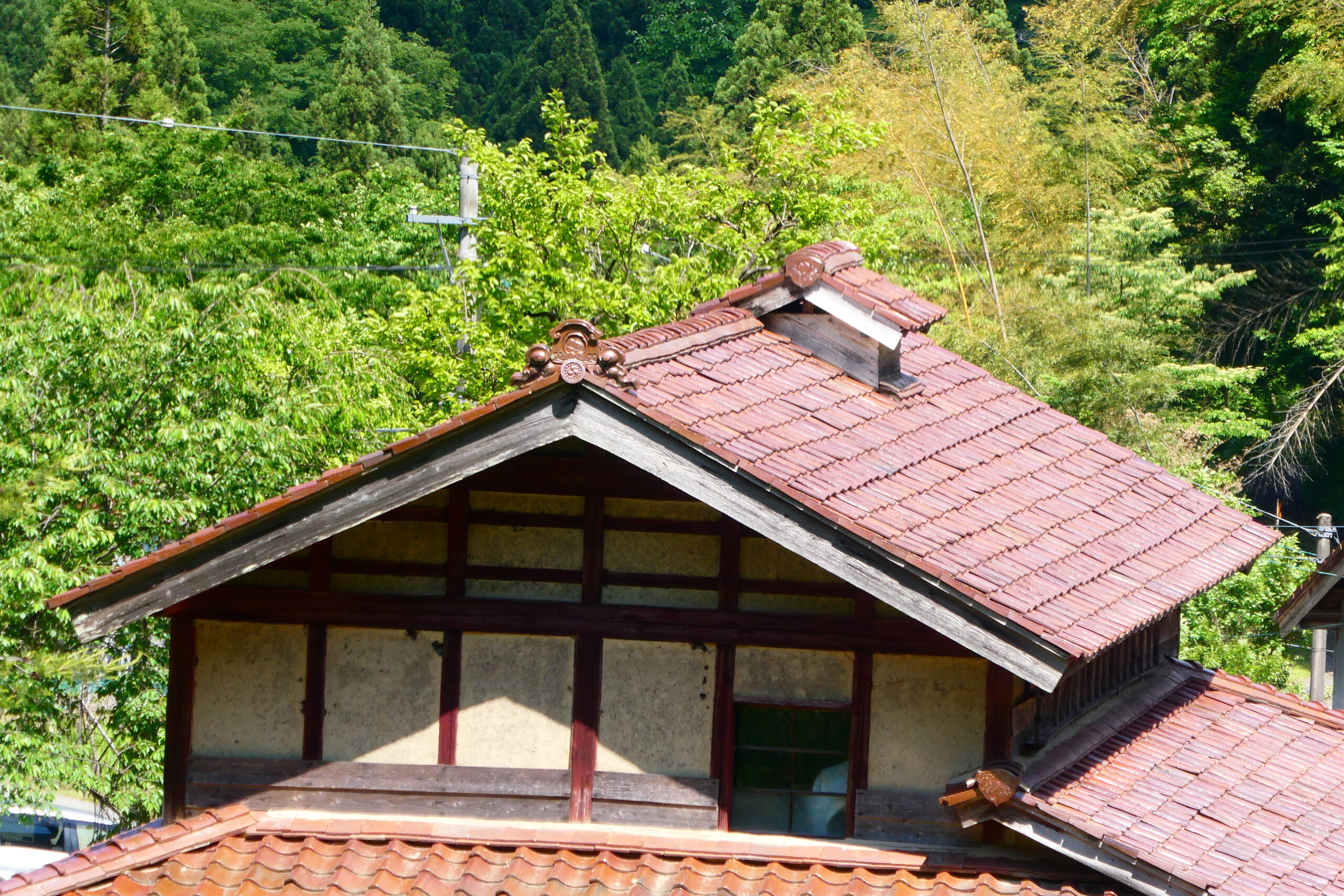 TZ95_landscape_250mm