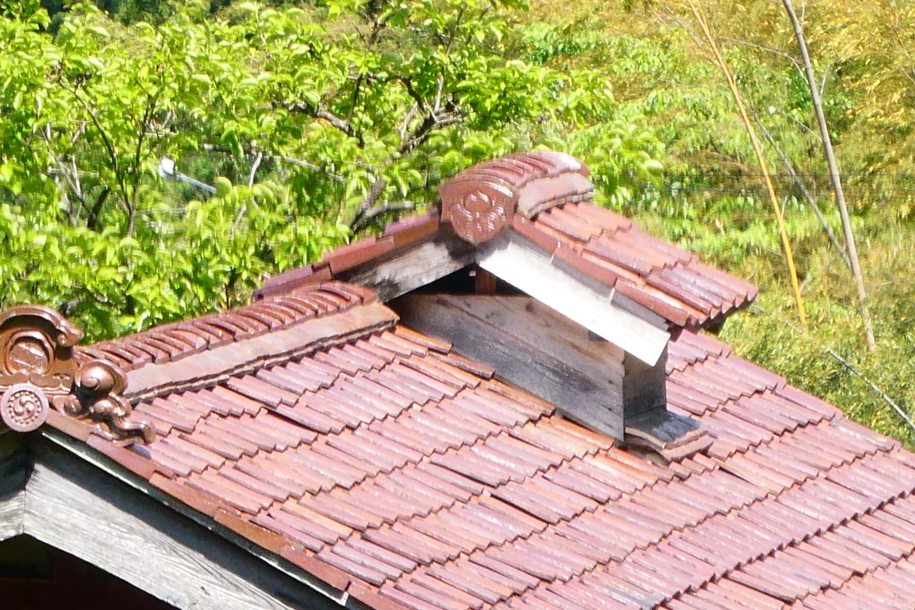 TZ95_landscape_250mm