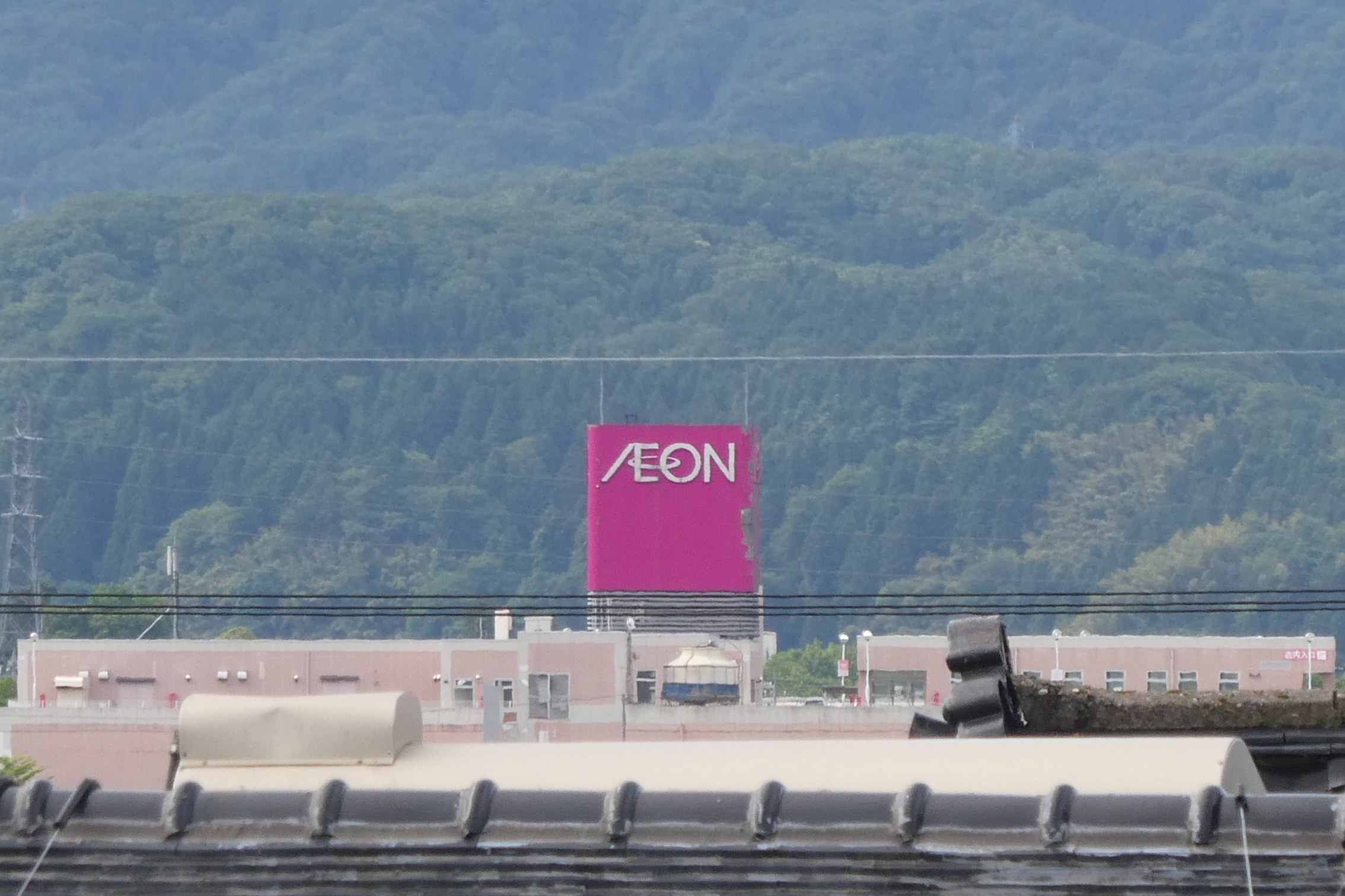 lumix_tz95_250mm_crop