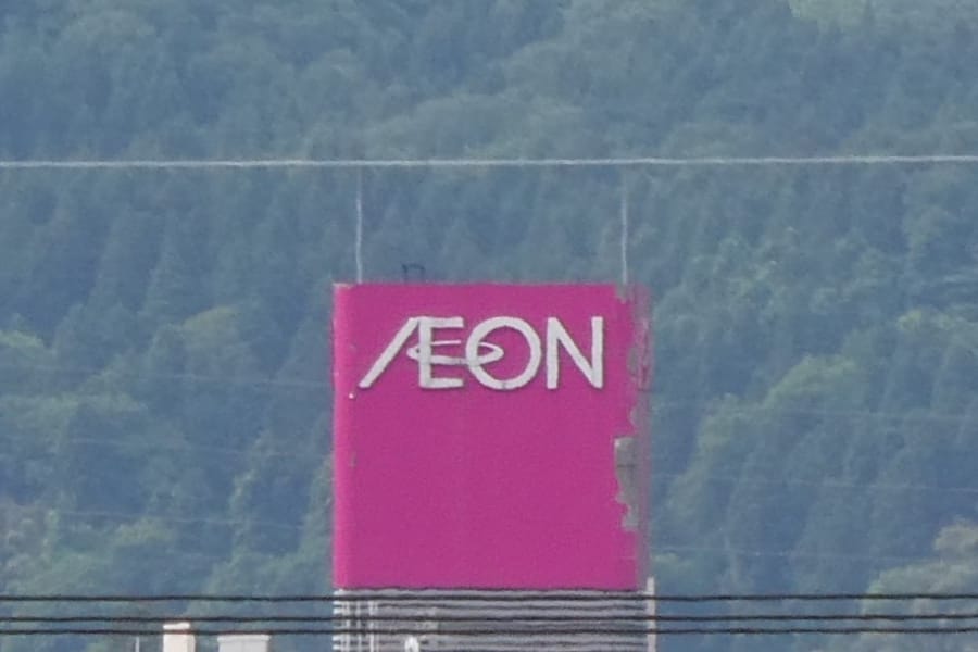 lumix_tz95_250mm_crop2