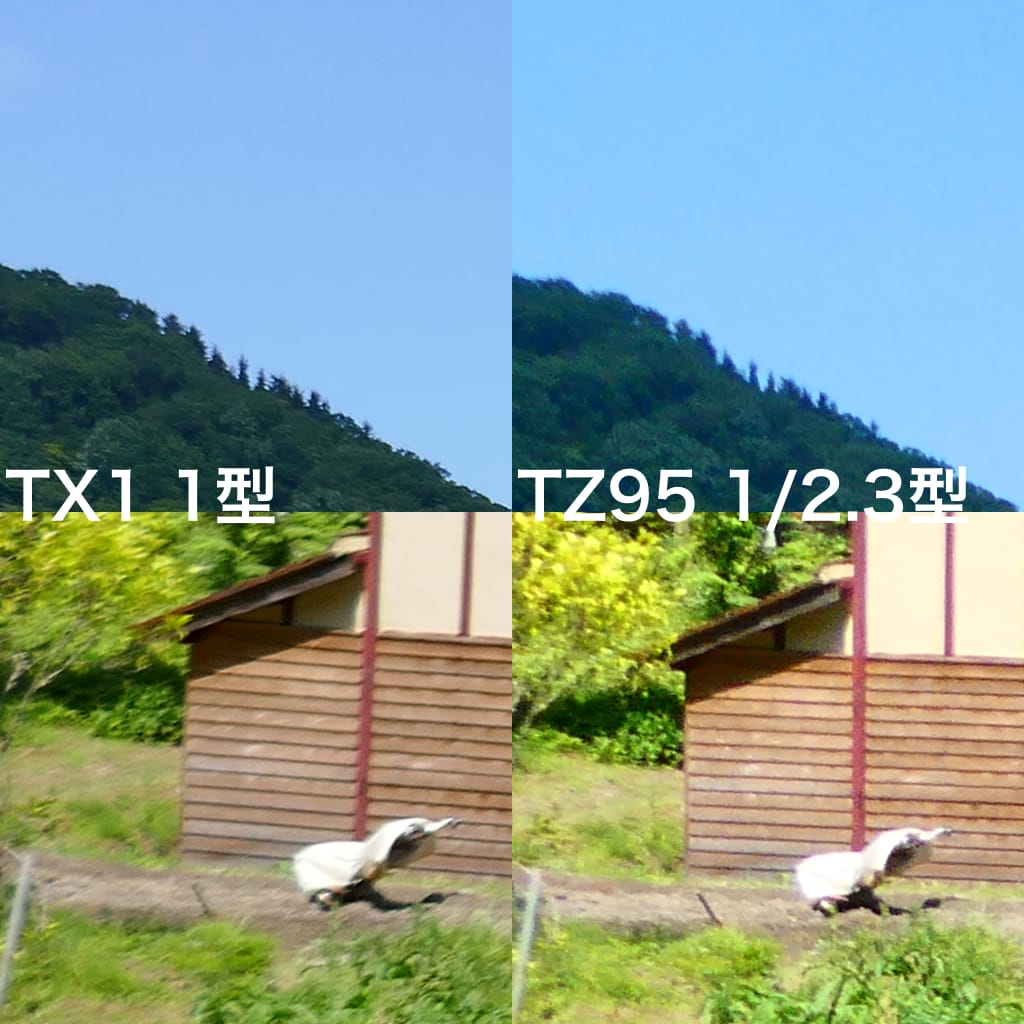 Lumix tx1_vs_tz95