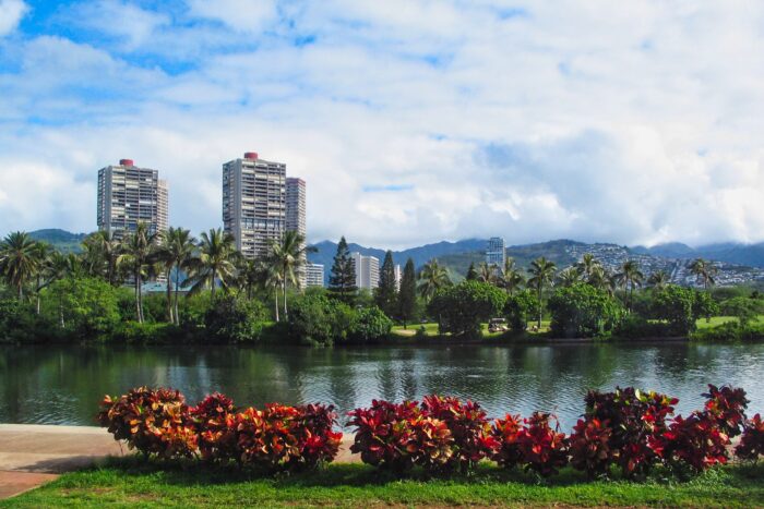 アラ・ワイ・ブルーバード