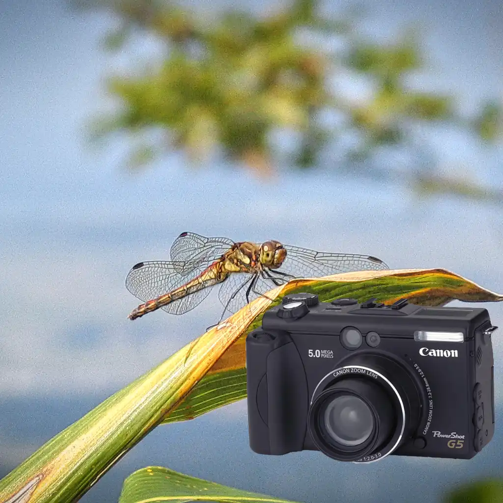 powershot_g5_gallery2